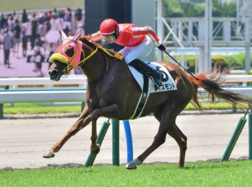 Latest Weekly Listings – Xtravagant, Epoca D’oro and Snitzel